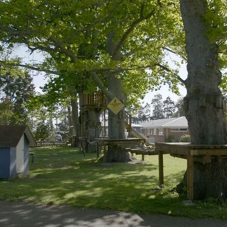 Te Aroha Holiday Park And Motels Extérieur photo