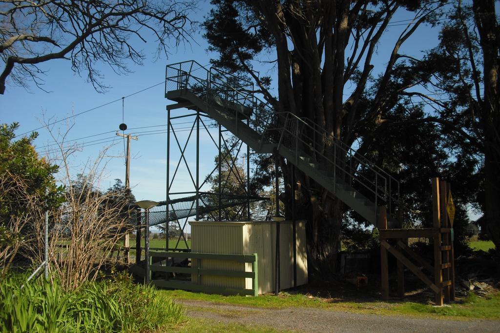 Te Aroha Holiday Park And Motels Extérieur photo